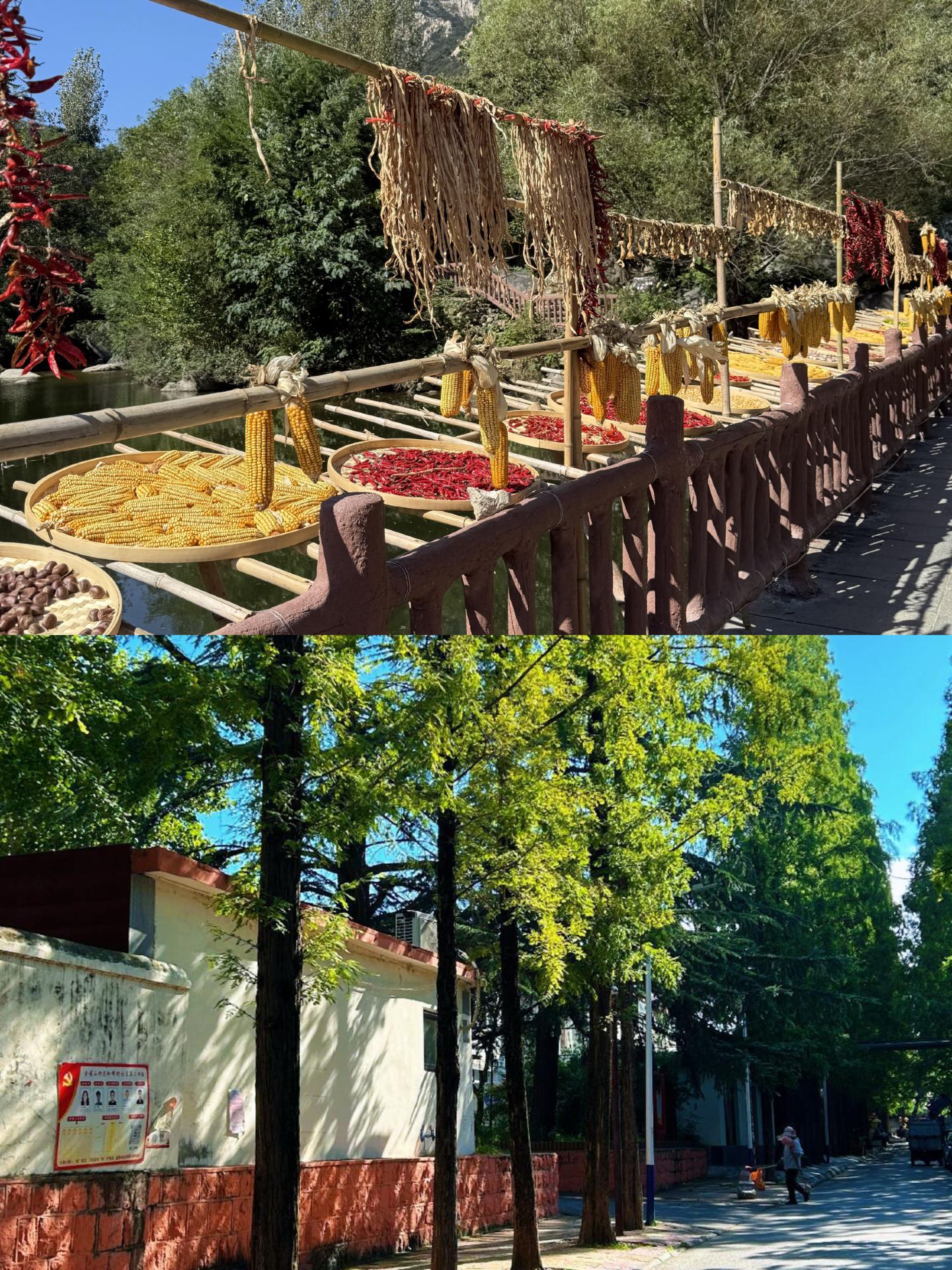 Hidden autumn harvest scenery in the mountains