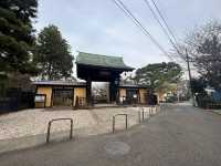 【豪徳寺】招き猫に囲まれるしあわせ♡