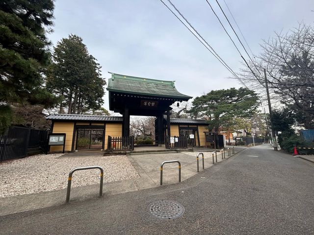 【豪徳寺】招き猫に囲まれるしあわせ♡