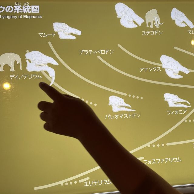【箱根】神奈川県立生命の星・地球博物館