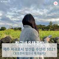 여행 뉴스 카드로 알아보는 제주도 2박 3일 코스