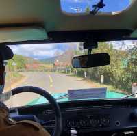 Mountain of Dalat