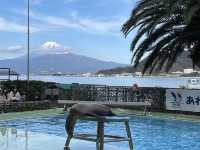 富士山の絶景が見える！あわしまマリンパーク