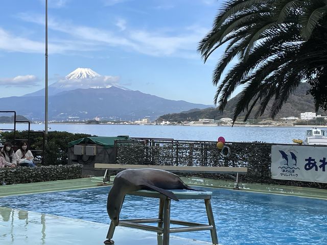 富士山の絶景が見える！あわしまマリンパーク