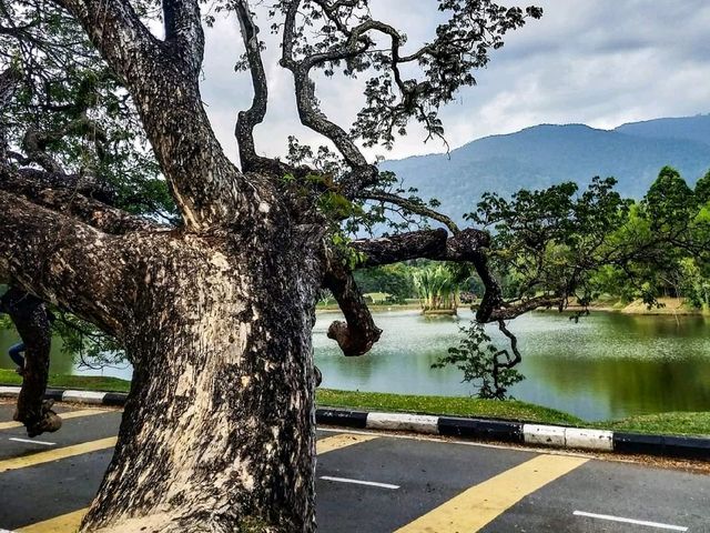 🇲🇾‖我的家•馬來西亞 🇲🇾‖我的家•馬來西亞
