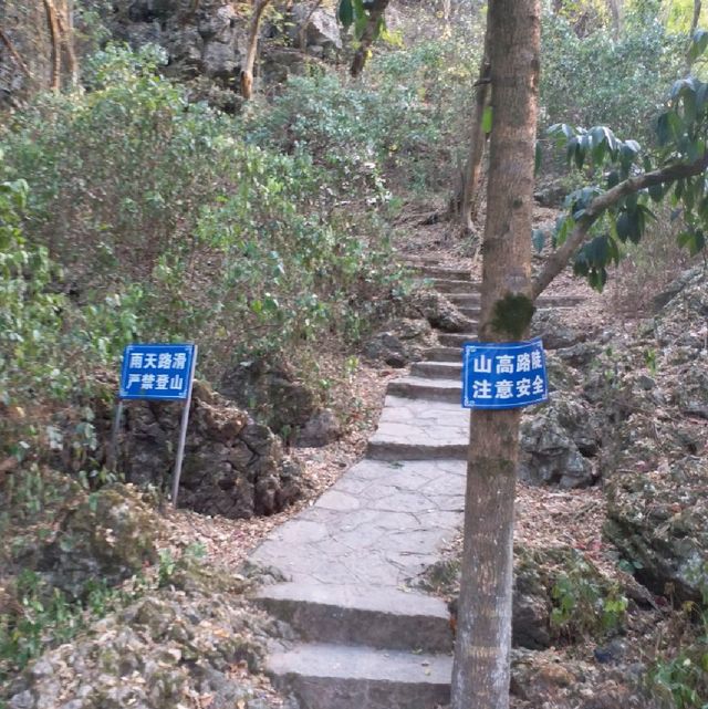 陽朔山景一覽