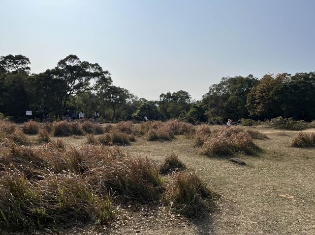挑戰成功！由馬鞍山村出發行上昂平草原