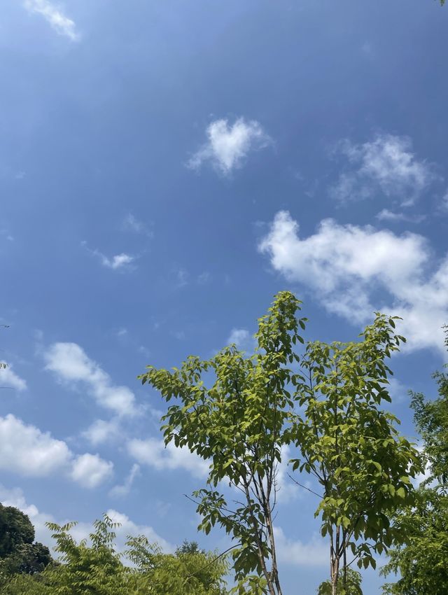 충주호 뷰맛집 캠핑장 추천 ‘충주카누캠핑장’ ⛺️