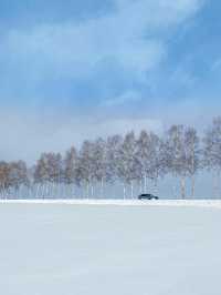 비에이 버스투어의 첫번째 코스, 패치워크로드 ⛄️