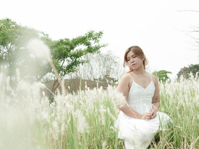 唯美的白茅田 粉嶺坪洋村 唯美的白茅田 粉嶺坪洋村