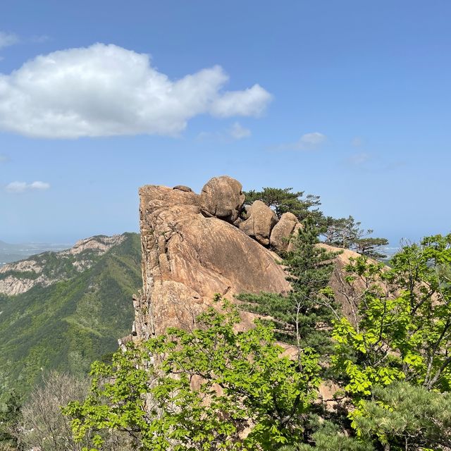 주목-! 속초 케이블카로 손쉽게 설악산 등산해요