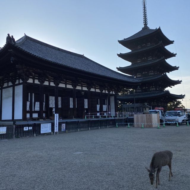 古都・奈良県「興福寺」国宝の五重塔は圧巻です