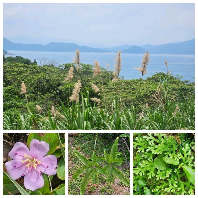 科大後花園😁