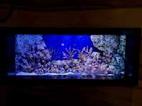 SEA LIFE Bangkok Ocean World