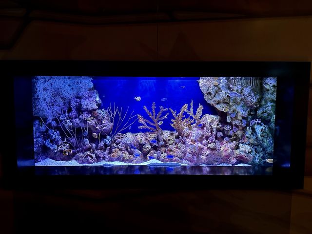 SEA LIFE Bangkok Ocean World