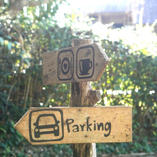 เตวแอ่ว คาเฟ่เฮาส์ @Take a Walk  