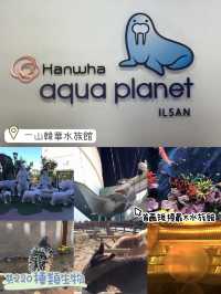 親子遊推薦😚一山韓華水族館❤️小朋友最愛景點