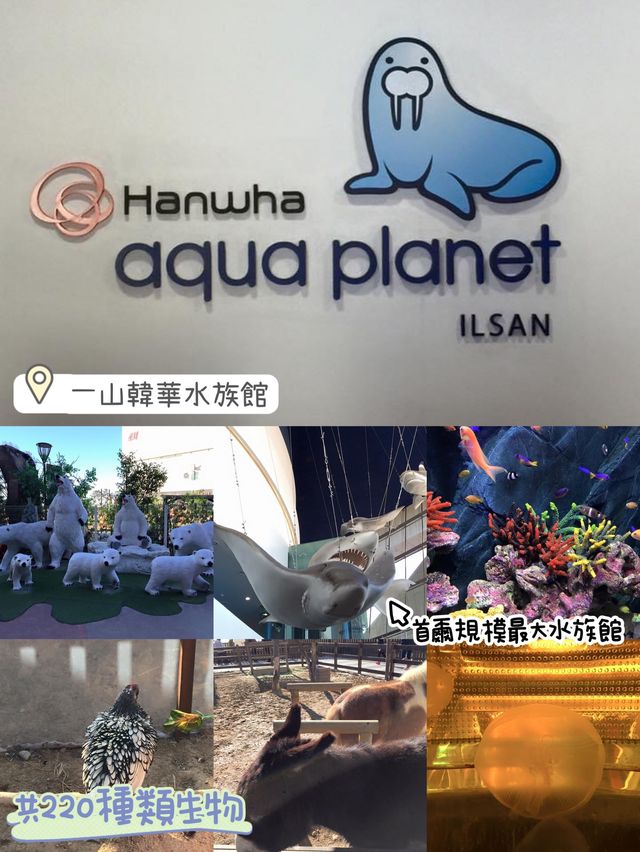 親子遊推薦😚一山韓華水族館❤️小朋友最愛景點