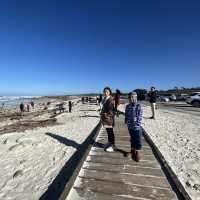  Pebble Beach ชายหาดสวยในอเมริกา