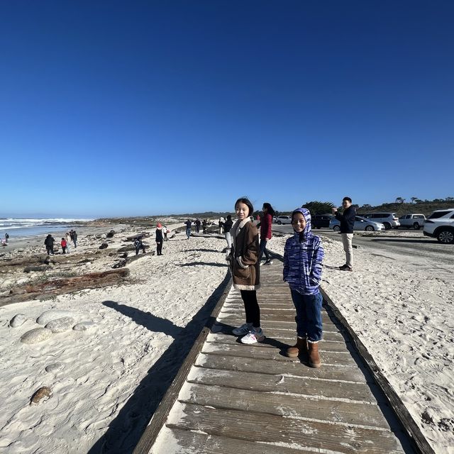  Pebble Beach ชายหาดสวยในอเมริกา