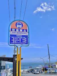 슬램덩크가 떠오르는 부산 청사포 해변열차🚃