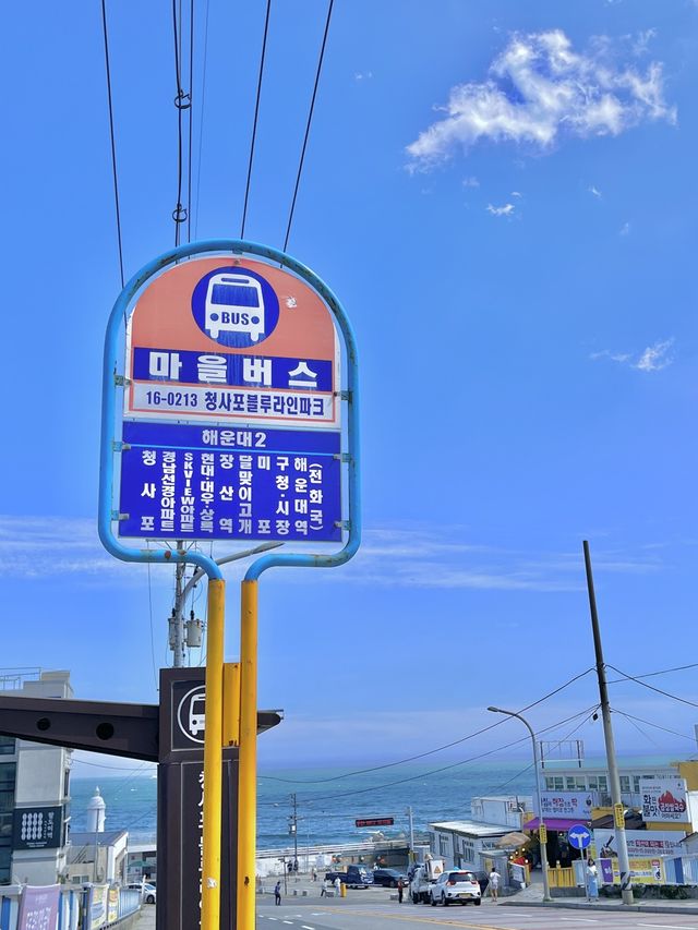 슬램덩크가 떠오르는 부산 청사포 해변열차🚃
