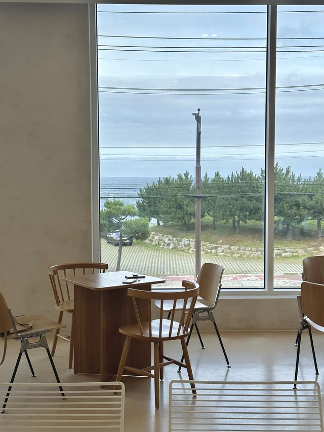 동해시 통창유리🏞️ 너머로 보이는 바다뷰 ⊹⁺⸜ 트리고 ⸝⁺⊹