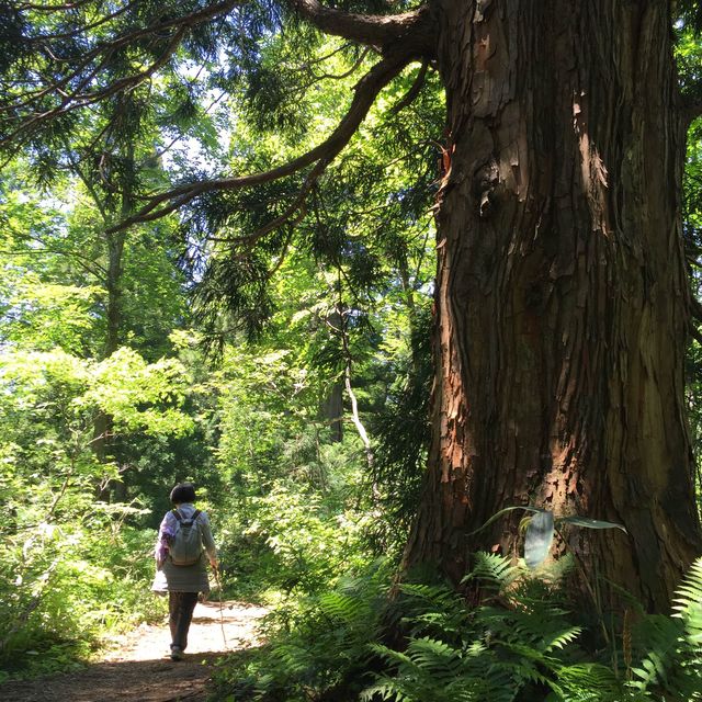 美女平 ｜自然探島步道🌲🌳🕊️