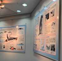 พิพิธภัณฑ์สัตว์น้ำท่าเรือนาโกย่า 名古屋港水族館