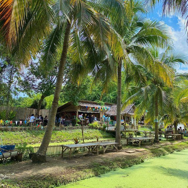 치앙마이 바파오 코코넛 플리마켓 이색적인 동남아 풍경🌴