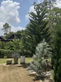 สวนของพ่อ บางมะฝ่อ & S T U D I O  จ.นครสวรรค์