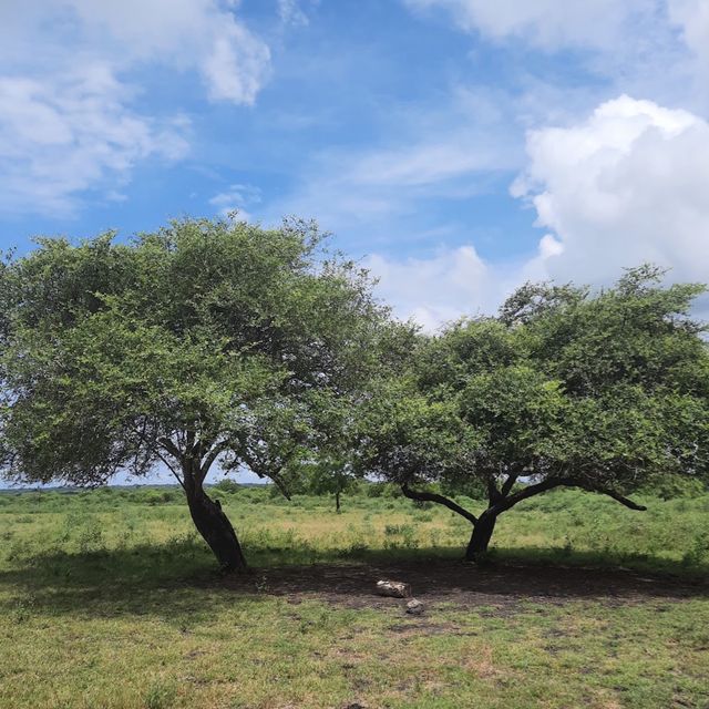 Baluran National Park