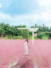 🎀가을 아름다운 분홍빛의 꽃 천국 [제주, 휴애리자연생활공원] 🍁