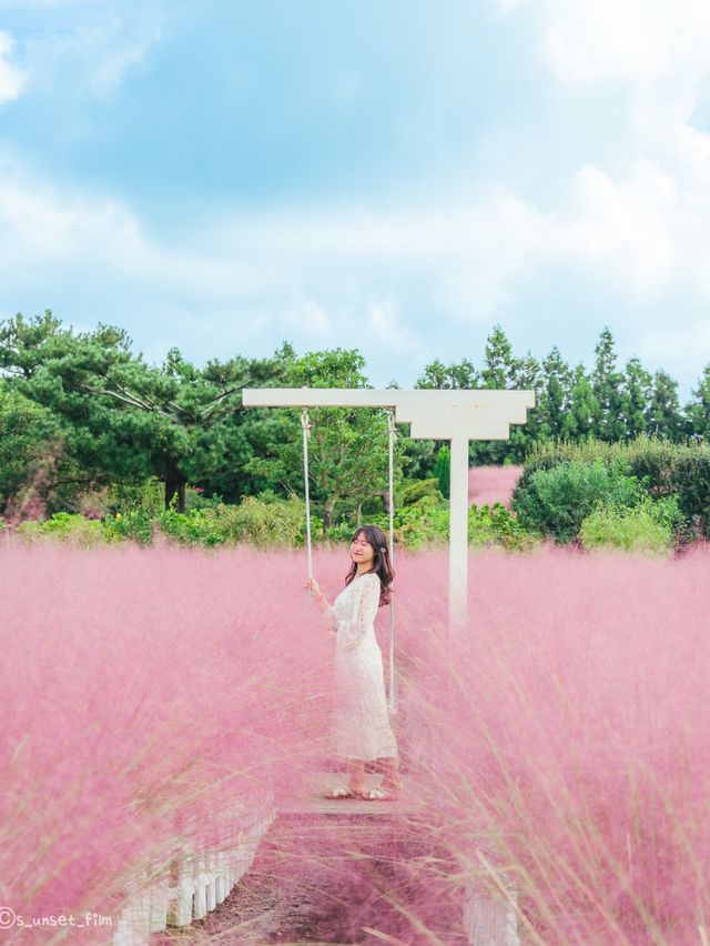 🎀가을 아름다운 분홍빛의 꽃 천국 [제주, 휴애리자연생활공원] 🍁