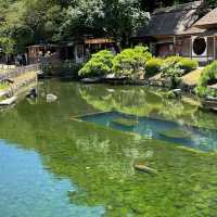 岡山後樂園🏖️禪意庭園中的大自然冥想 🌸🍃