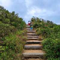 三刷港島龍脊徑 行山清潔