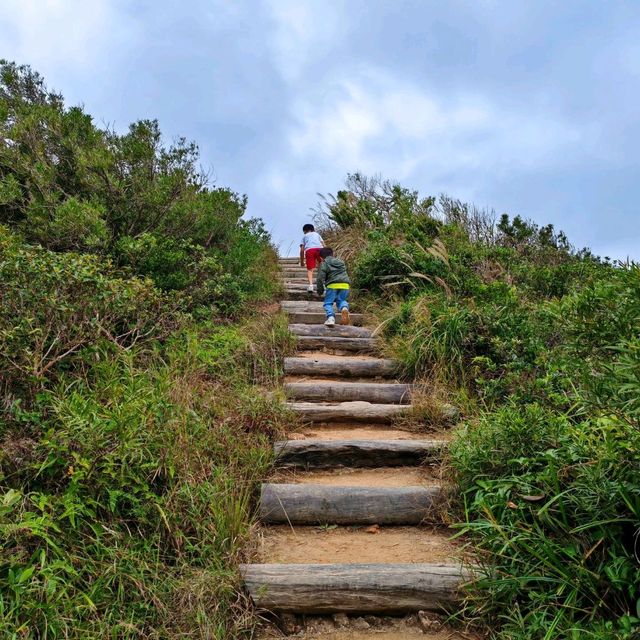 三刷港島龍脊徑 行山清潔