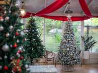 Christmas Time @ The Creeper House