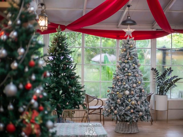 Christmas Time @ The Creeper House