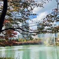 เดินเล่นสวนสาธารณะทะเลสาบซอกชนในต้นฤดูใบไม้ผลิ 🍁🍂