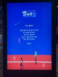 별마당도서관과 금빛트리🤩💛