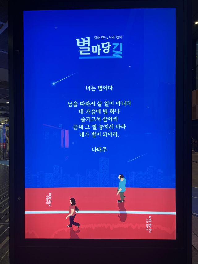 별마당도서관과 금빛트리🤩💛