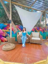  BaliBule' คาเฟ่ & ที่พัก 