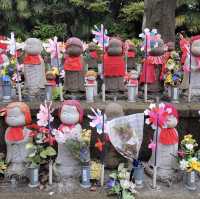 Iconic Temple in Tokyo City 