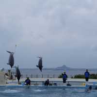 รีวิว - Okinawa Churaumi Aquarium @ญี่ปุ่น 🇯🇵