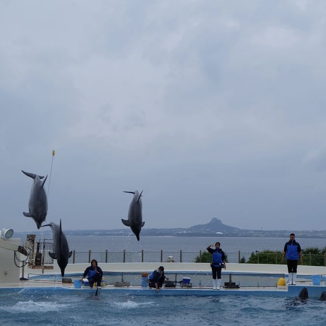 รีวิว - Okinawa Churaumi Aquarium @ญี่ปุ่น 🇯🇵