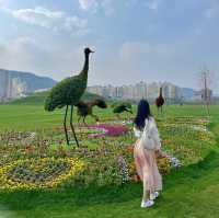 순천만국가정원 개장 전 첫방문 ..🌿