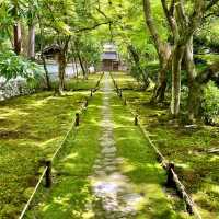 【京都】緑あふれる苔寺「西芳寺」