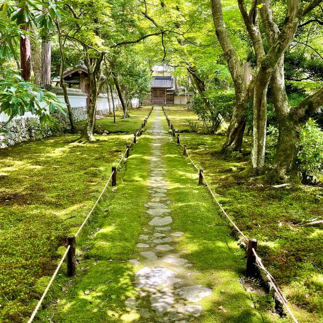 【京都】緑あふれる苔寺「西芳寺」