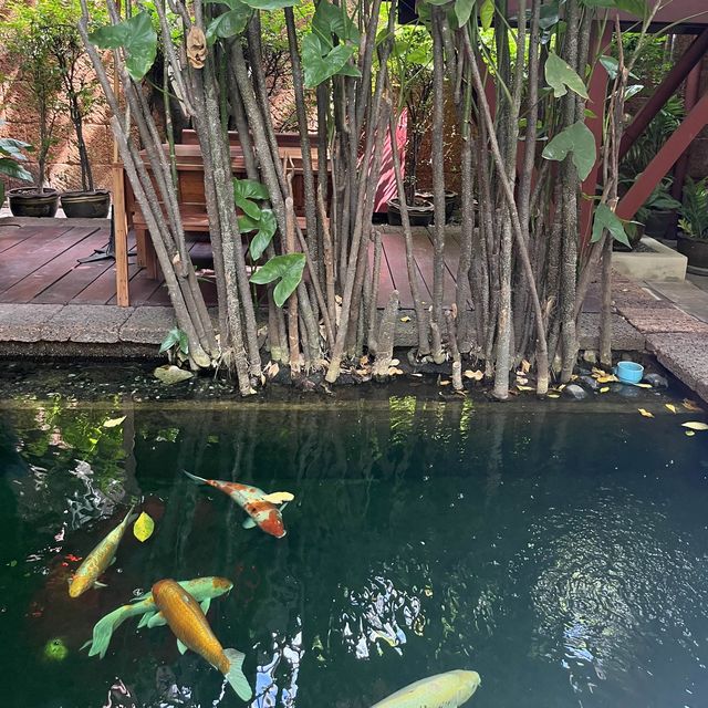Introduction to Thai Silk